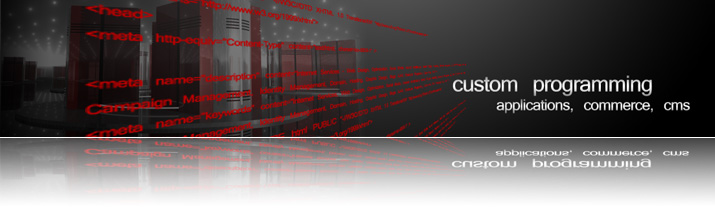 Custom Programming, applications, commerce, content management systems